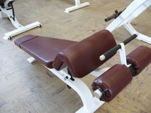 decline-bench